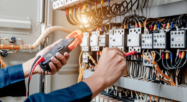 Best Electrical System Inspection  in Carbondale, IL